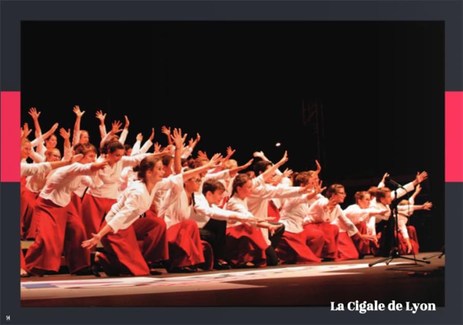 Cigale-de-Lyon-Nuits-Avent-Grand-Avignon-3